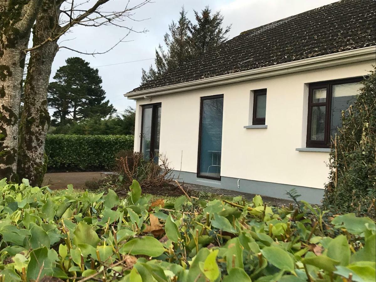Mick'S Cottage Loughrea Kültér fotó